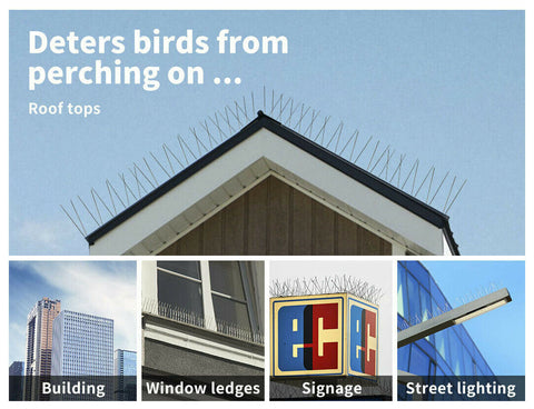 10x 50cm Anti Narrow Bird Spikes Pigeon Deterrent Repellent