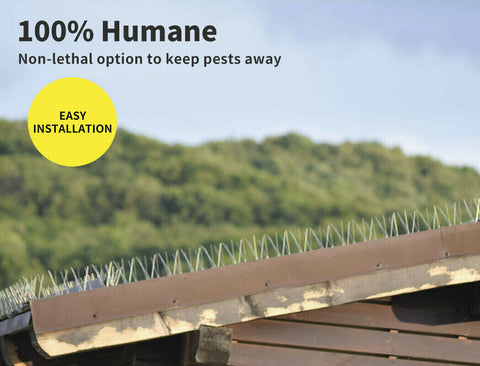 10x 50cm Anti Narrow Bird Spikes Pigeon Deterrent Repellent