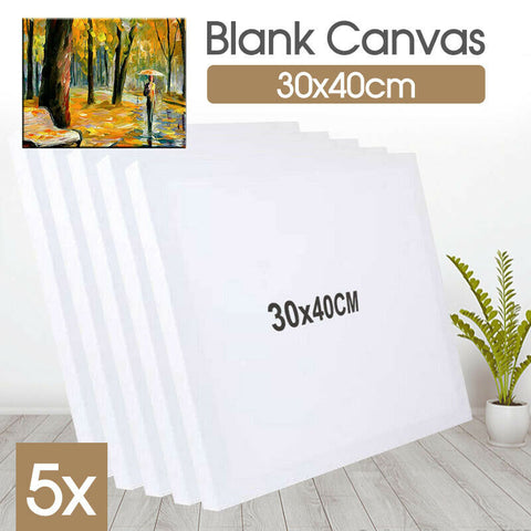 5x Blank Canvas Art Supply Professional Quality Stretched Canvas White 30X40cm