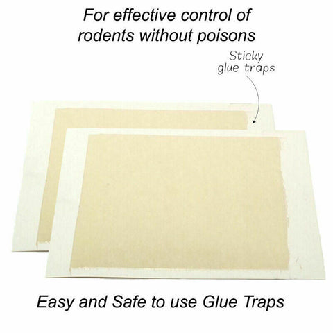 20Pcs Mouse Trap Catcher Rat Snake Mice Bugs Board Kitchen Large