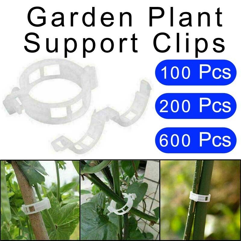 Tomato Veggie Garden Plant Support Clips For Trellis Twine Greenhouse