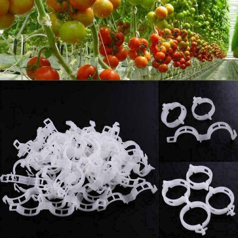Tomato Veggie Garden Plant Support Clips For Trellis Twine Greenhouse