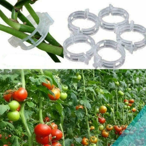 Tomato Veggie Garden Plant Support Clips For Trellis Twine Greenhouse