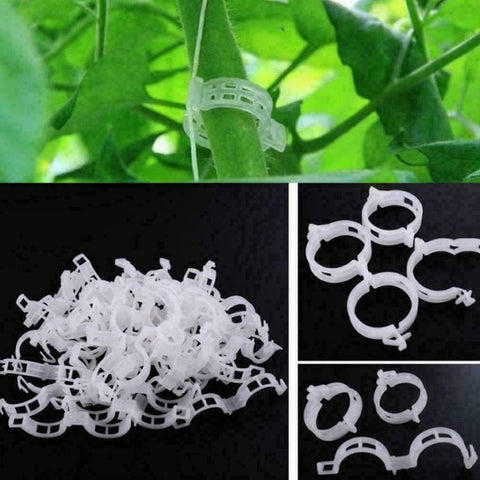 Tomato Veggie Garden Plant Support Clips For Trellis Twine Greenhouse