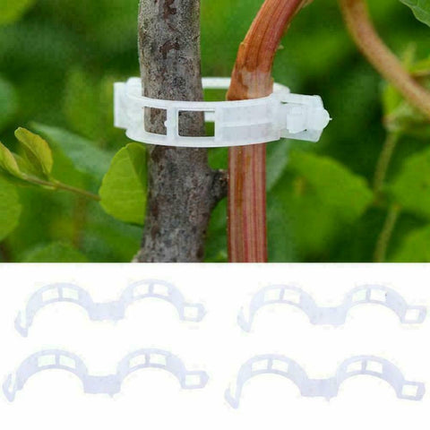 Tomato Veggie Garden Plant Support Clips For Trellis Twine Greenhouse