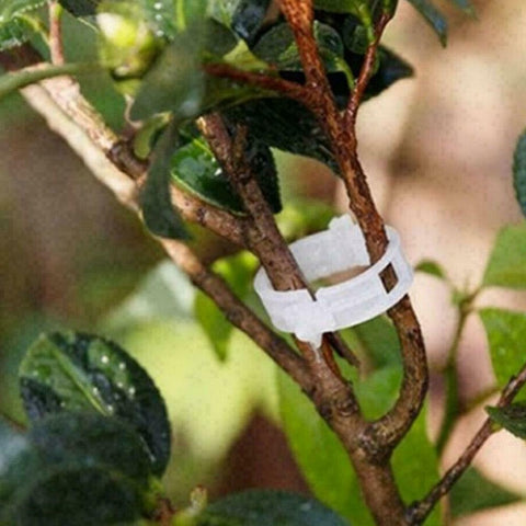 Tomato Veggie Garden Plant Support Clips For Trellis Twine Greenhouse