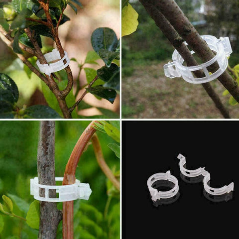 Tomato Veggie Garden Plant Support Clips For Trellis Twine Greenhouse