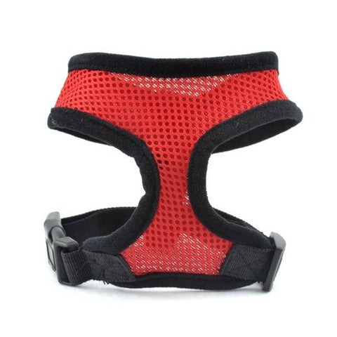 Dog Cat Harness Strap