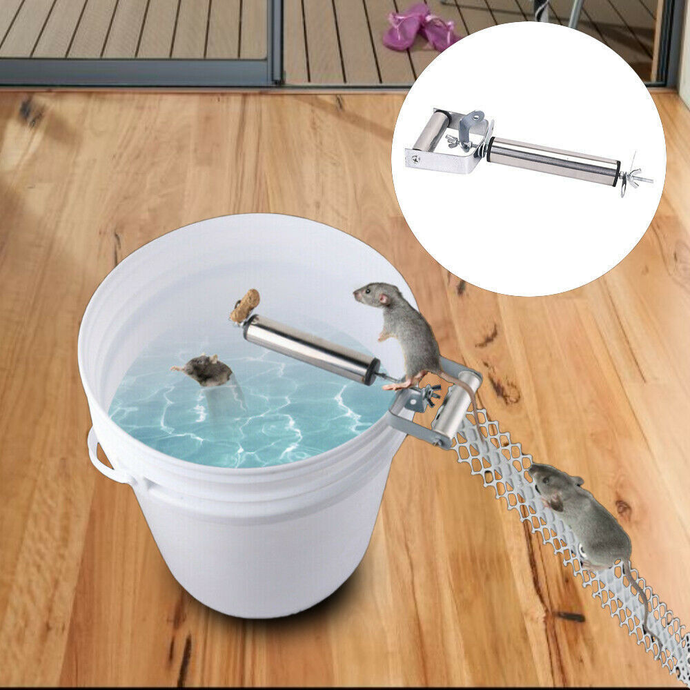 Walk The Plank Mouse Trap Roller Catch Mice Auto Reset Humane Bucket Rat Trap