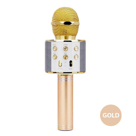 Karaoke Microphone Speaker Wireless Bluetooth Handheld Mic USB Player KTV WS858