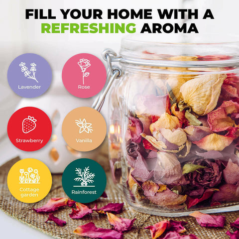 Home Master 6 Scents Pot Pourri Assorted Lasting Fragrances Refreshing Aroma 70g