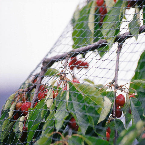 Bird Netting Net Anti Pest Commercial Fruit Trees Plant 5x5m 30GSM