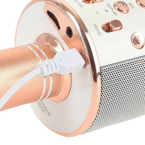 Karaoke Microphone Speaker Wireless Bluetooth Handheld Mic USB Player KTV WS858