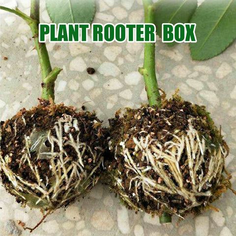 Plant Rooting Device High Pressure Propagation Ball Root Grow Grafting Box