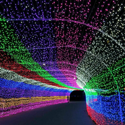 50 LED Battery Powered String Fairy Lights Copper Wire Waterproof Decor