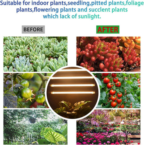 USB LED Grow Light Plant Full Spectrum Dimmable Indoor Flower Indoor Strip Lamp