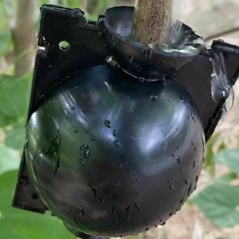 Plant Rooting Device High Pressure Propagation Ball Root Grow Grafting Box