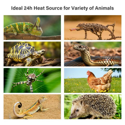 100W Infrared Ceramic Heat Emitter Reptile Heat Lamp Bulb for Lizard Snake