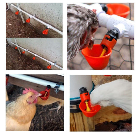 Automatic Cups Chicken Waterer Poultry Water Feeder Drinker Chook Bird