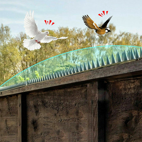 12pc Bird Spikes Human Cat Possum Mouse Pest Control Spiked Fence Wall