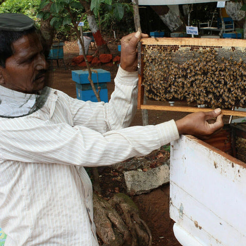 MOSQUITO FLY HEAD NET INSECT MESH HAT BEE BUG MOZZIE PROTECTOR FISHING OUTDOOR