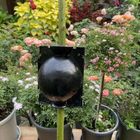 Plant Rooting Device High Pressure Propagation Ball Root Grow Grafting Box