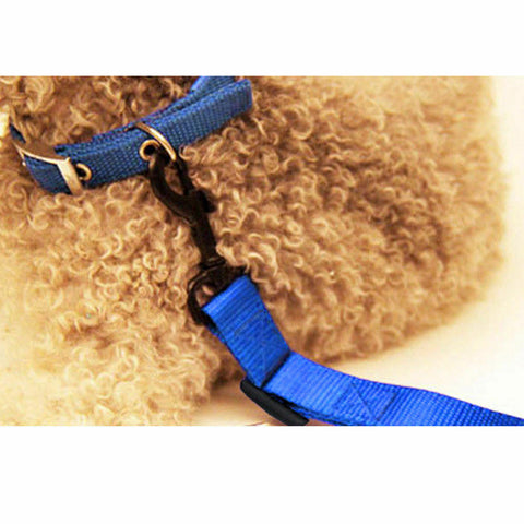 Adjustable Pet Dog Safety Car Vehicle Seat Belt Harness Lead Pet Seatbelt Nylon