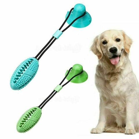 Interactive Rubber Pet Molar Bite Floor Suction Cup Dog Balls Puppy Chew Toy