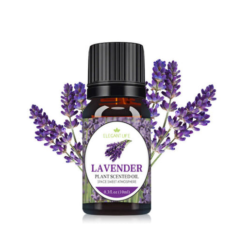 6x Essential Oil For Humidifier Air Diffuser Aroma