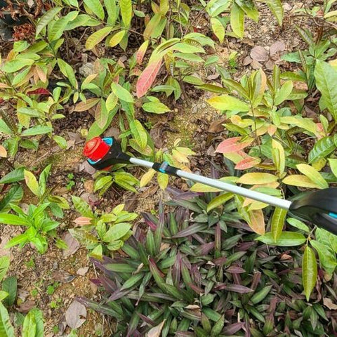 Foldable & Extendable Pick Up Grabber Reacher Stick Reaching with LED