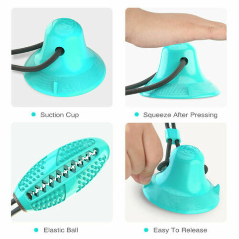 Interactive Rubber Pet Molar Bite Floor Suction Cup Dog Balls Puppy Chew Toy
