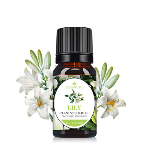 6x Essential Oil For Humidifier Air Diffuser Aroma
