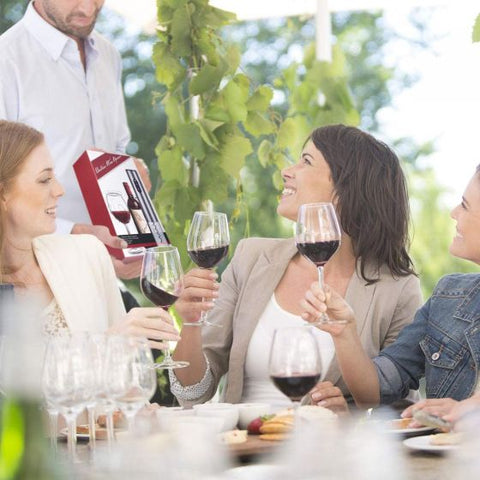 Electric Wine Opener Gift Set