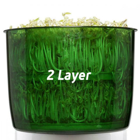 Bean Sprouter Machine