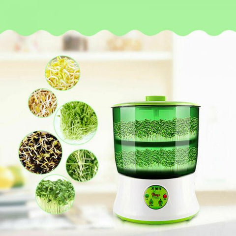 Bean Sprouter Machine