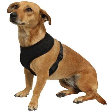 Dog Cat Harness Strap