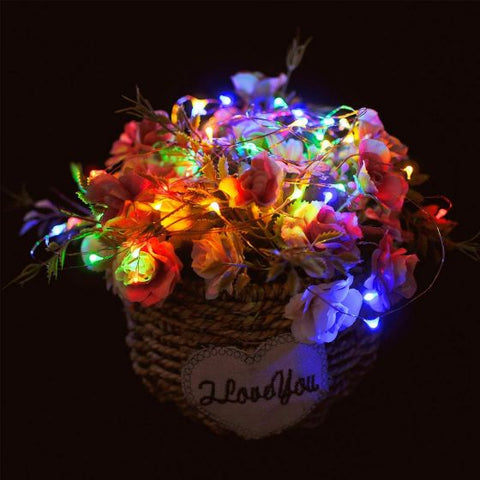 Fairy String Lights- Multi-color